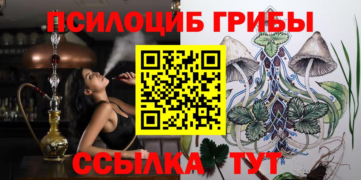 Псилоцибиновые грибы Psilocybine cubensis  Вход с VPN  Тобольск 