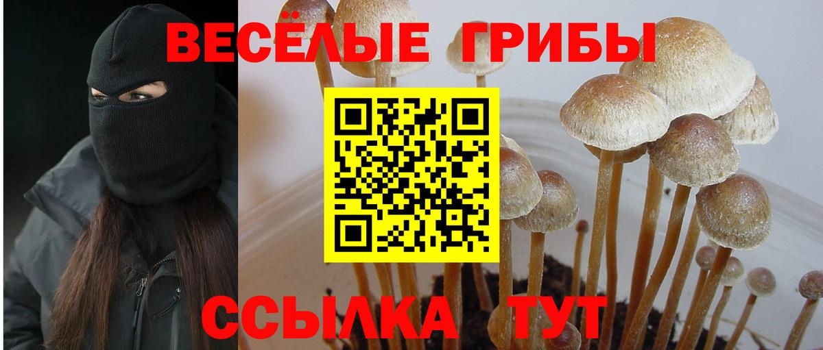 Alpha PVP Тобольск